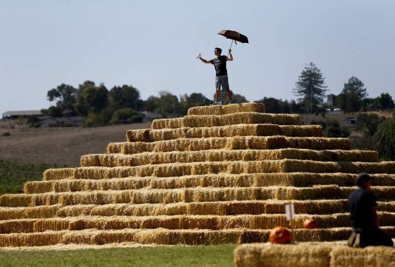 Climbing the hay pyramid at the Santa Rosa Pumpkin Patch is fun for everyone, no matter how old or young you are.