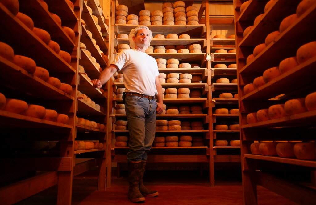 Liam Callahan, cheesemaker at Bellwether Farrms, took home five awards from the 2018 American Cheese Society Competition. (Christopher Chung/Press Democrat)