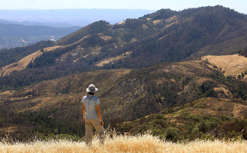 Caitlin Cornawall, Thursday, June 21, 2018, a biologist and research program manager with the Sonoma Ecology Center looks at a view from the ridgeline of Sugarloaf Ridge State Park at Hood Mountain, that was burned over during the October fires near Kenwood. (Kent Porter / The Press Democrat) 2018