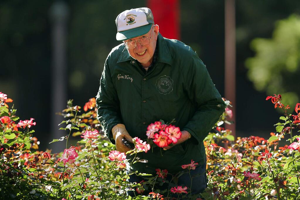 Jim King, then 89, prunes the roses in Santa Rosa's Juilliard Park that he helped plant more than 50 years ago. King was honored with a city Merit Award for his volunteer service in 2009.