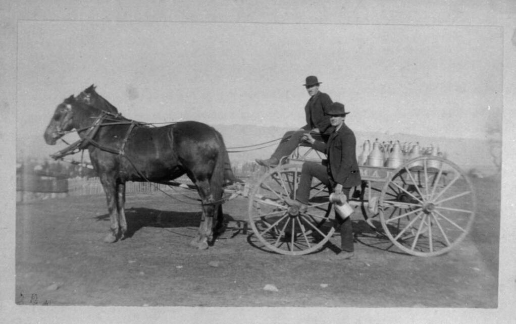 This photo, taken around 1910, shows Petaluma's early milkmen delivering jugs by wagon. The names of the workers and the location of the photo are not known. (Sonoma County Library Heritage Collection)