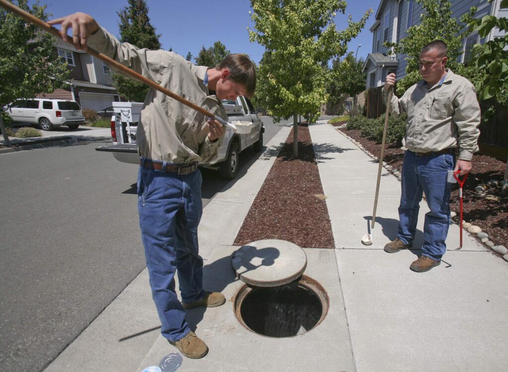 While Jared Newman looks on Sean Baker, left both of the Marin/Sonoma Mosquito & Vector Control District, checks a water sample for mosquito larva that he just pulled from a storm water catch basin on Sophia Circle in Petaluma on Tuesday, July 14, 2015. (SCOTT MANCHESTER/ARGUS-COURIER STAFF)