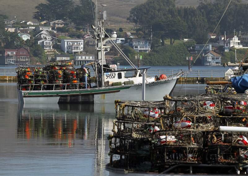 Crab boats from the Spud Point Marina head out of Bodega Bay in 2011. (The Press Democrat file)
