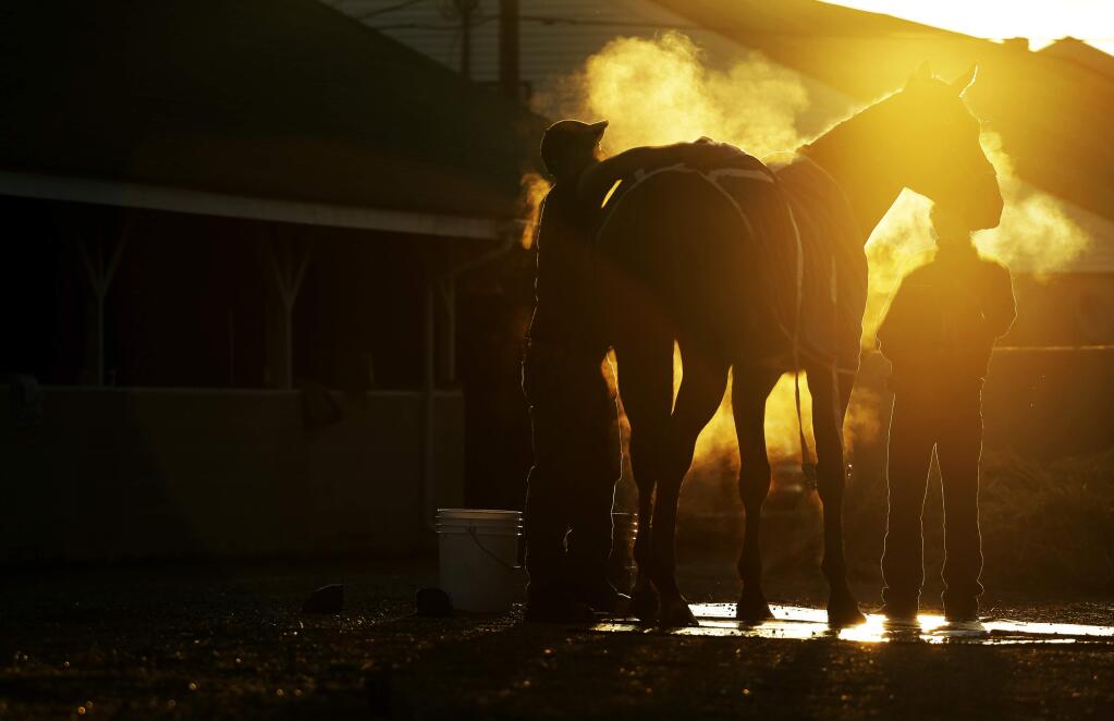 A horse gets a bath after a morning workout at Churchill Downs Friday, May 1, 2015, in Louisville, Ky. (AP Photo/Jeff Roberson)