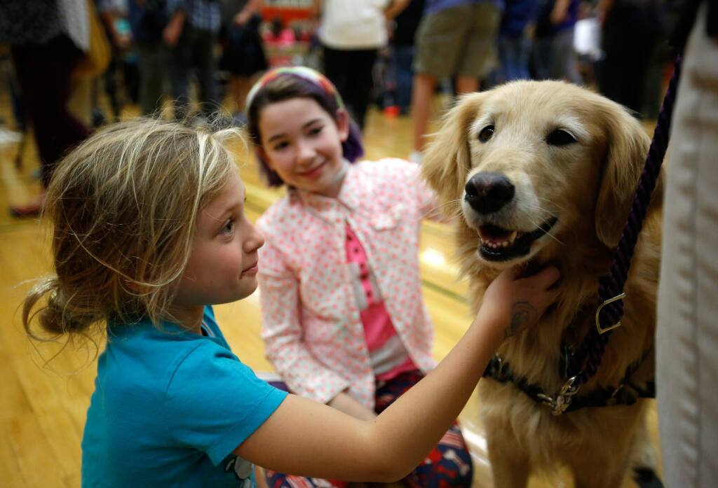 Vivien Nielson, 7, left, whose family's home in the Wikiup neighborhood was destroyed by the Tubbs fire, and Annie Ethington, 11, of Santa Rosa take time to pet Alexis the comfort dog during a town hall meeting in the aftermath of the Sonoma County wildfires, at Santa Rosa High School in Santa Rosa, California, on Saturday, October 14, 2017. (Alvin Jornada / The Press Democrat)