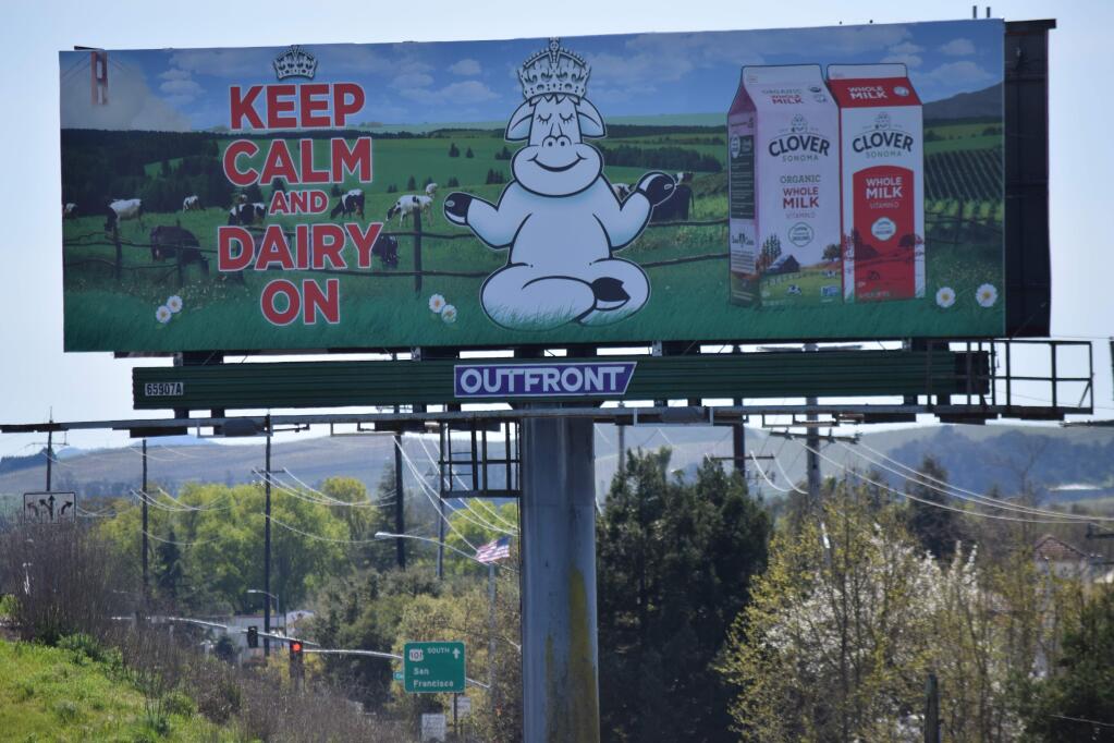 Clover Sonoma has used Clo the Cow's humor in its company branding since about 1989 and has created more than 100 pun-driven signs. (James Dunn / North Bay Business Journal) March 2018