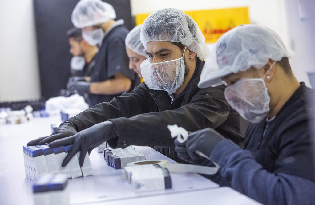 In this file photo, workers package AbsoluteXtracts Sleepytime Sublingual Drops at CannaCraft in Santa Rosa. (John Burgess / The Press Democrat)