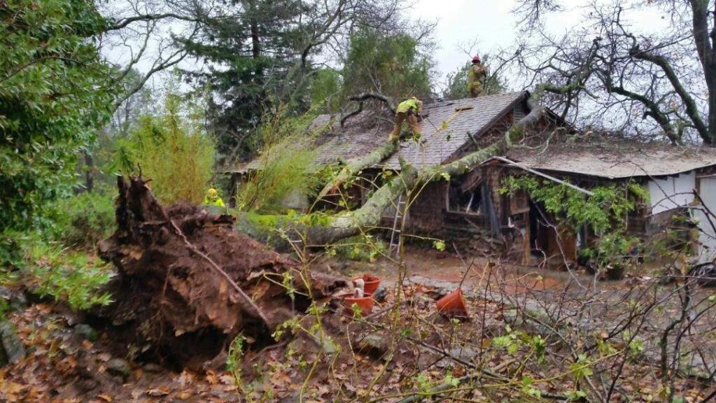 Emergency crews respond to a tree that fell on a home on Soda Cayon Road outside Napa on Monday, Dec. 15, 2014. (COURTESY OF JOE FLETCHER/ CAL FIRE)