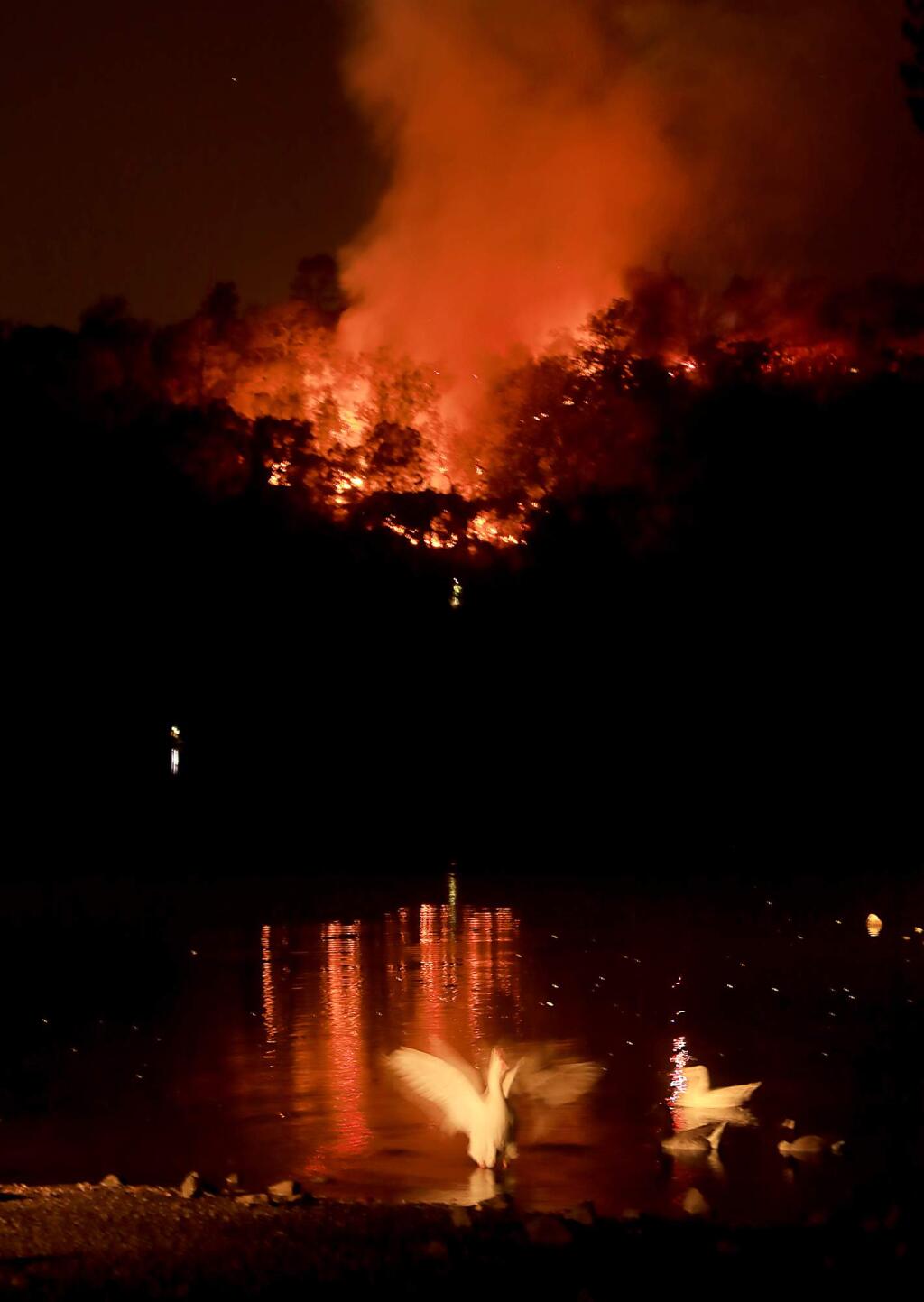 A vegetation fire burns above Lake Ralphine at Howarth Park in Santa Rosa, Thursday night, Nov. 8, 2018. (Kent Porter / The Press Democrat) 2018