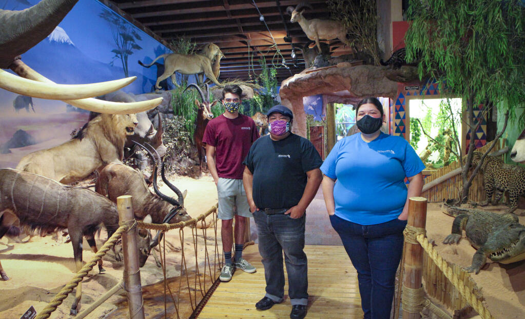 Petaluma, CA, USA, Friday, June 19, 2020._(L-R) Enzo Belforte, a Petaluma High School senior, Phil Tacata, Petaluma Wildlife Museum instructor and Jessi Redfield, a museum Board member, stand in one of the museumÕs rooms displaying African wildlife. (CRISSY PASCUAL/ARGUS-COURIER STAFF)