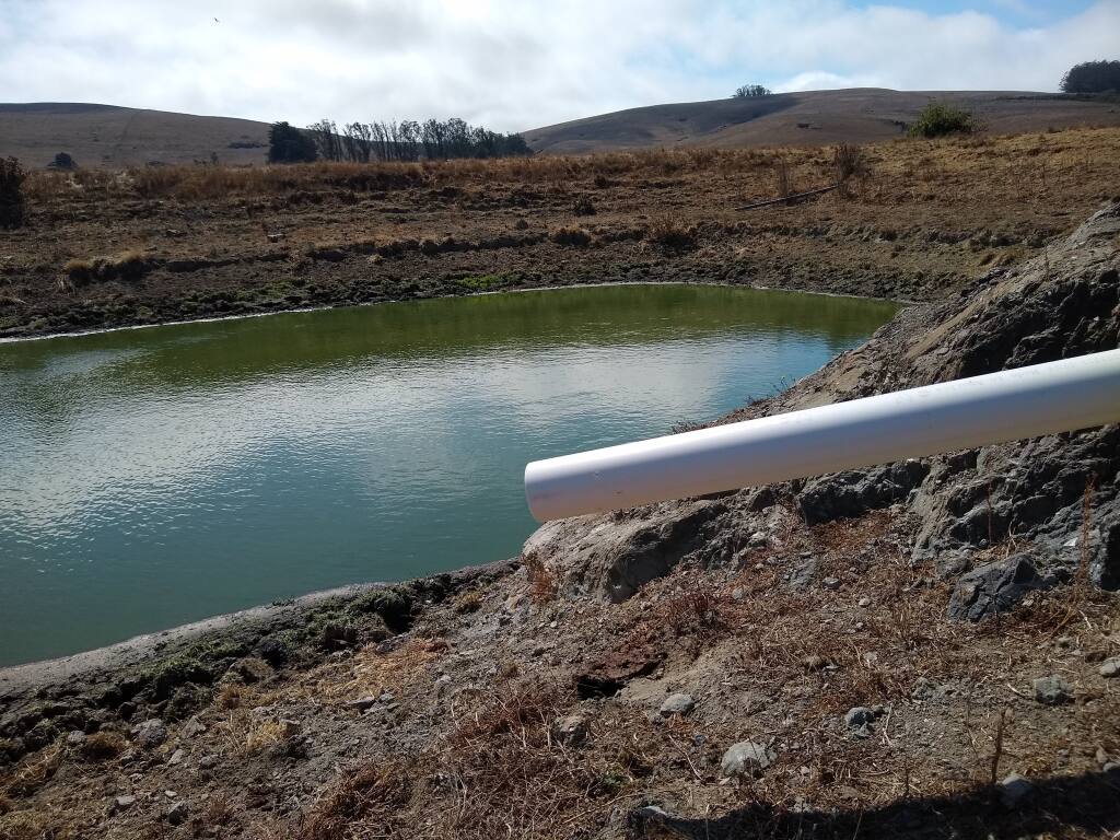 The Lazy R Ranch has a pond on the 220-acre farm to capture the overflow of water from its storage tank. Photo by Linda Righett Judah