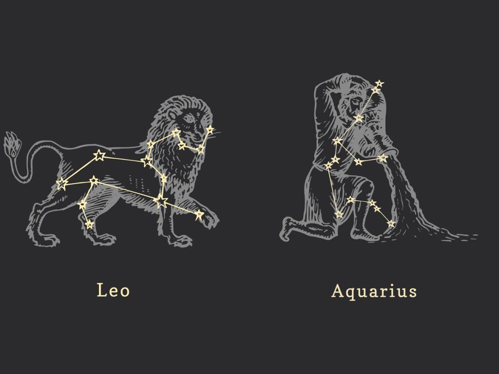 Leo and Aquarius (Adobe image)