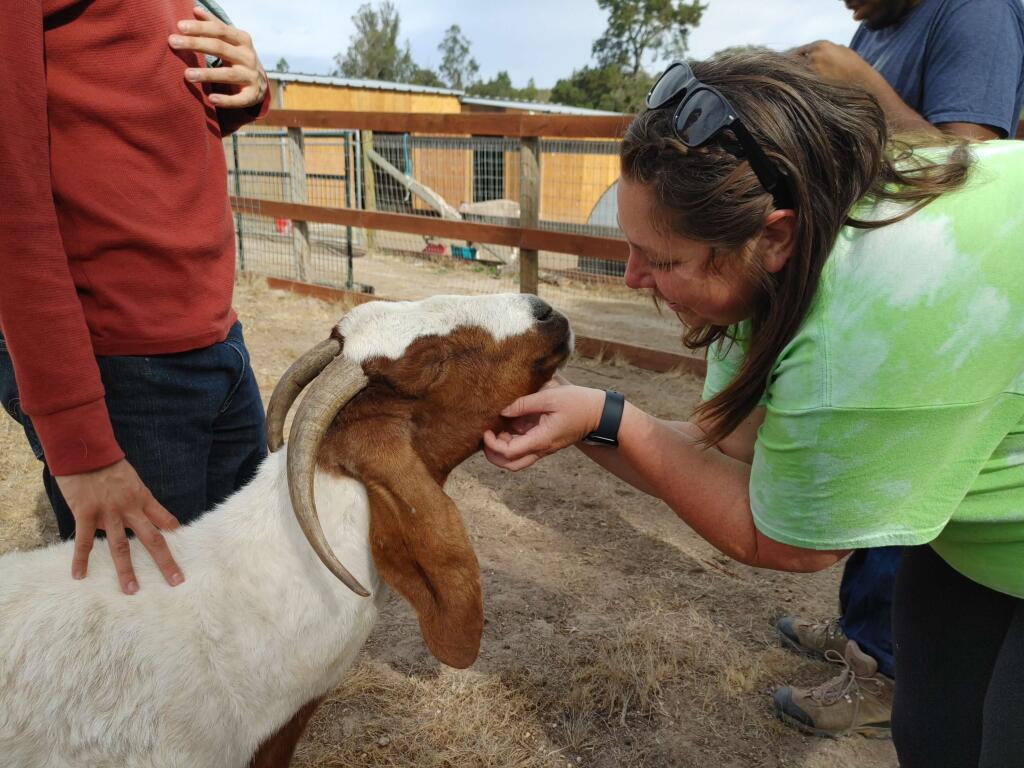 Animal Assisted Therapy with Becoming Independent and the goats named the Willow girls. Photo courtesy Spencer Asher.