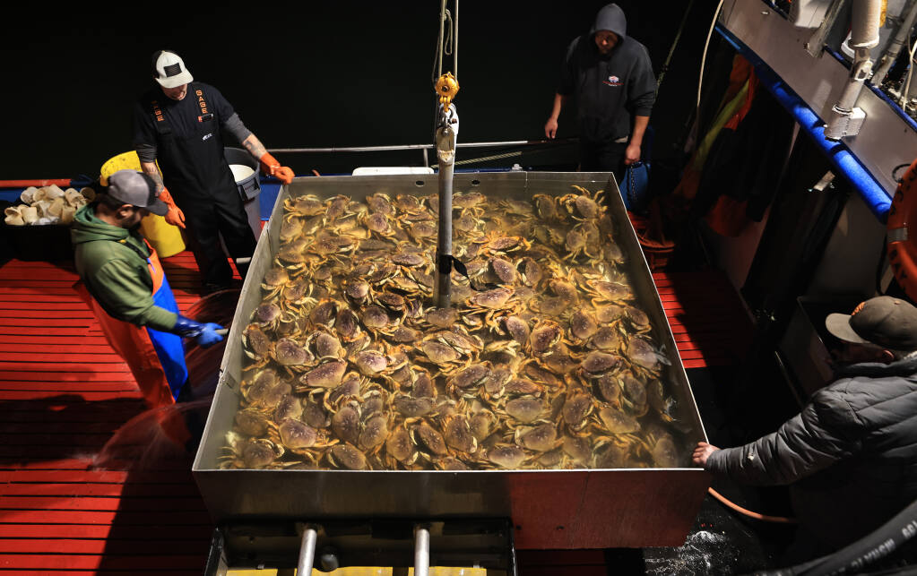 From left clockwise, Mike Johns, Ron Burton, Matt Anello and skipper Steve Anello of the Donna Mia, wait for water to drain in order to cover fresh Dungeness crab in ice (to calm the crab) as the begin to offload their catch at the Dandy Fish Co., Wednesday, Dec. 29, 2021 in Bodega Bay. (Kent Porter / The Press Democrat) 2021