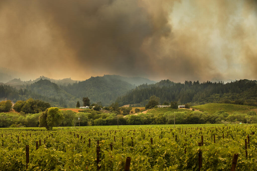 The Walbridge fire burns above the Dry Creek Valley in Healdsburg on Friday afternoon, August 21, 2020.  (John Burgess/The Press Democrat)