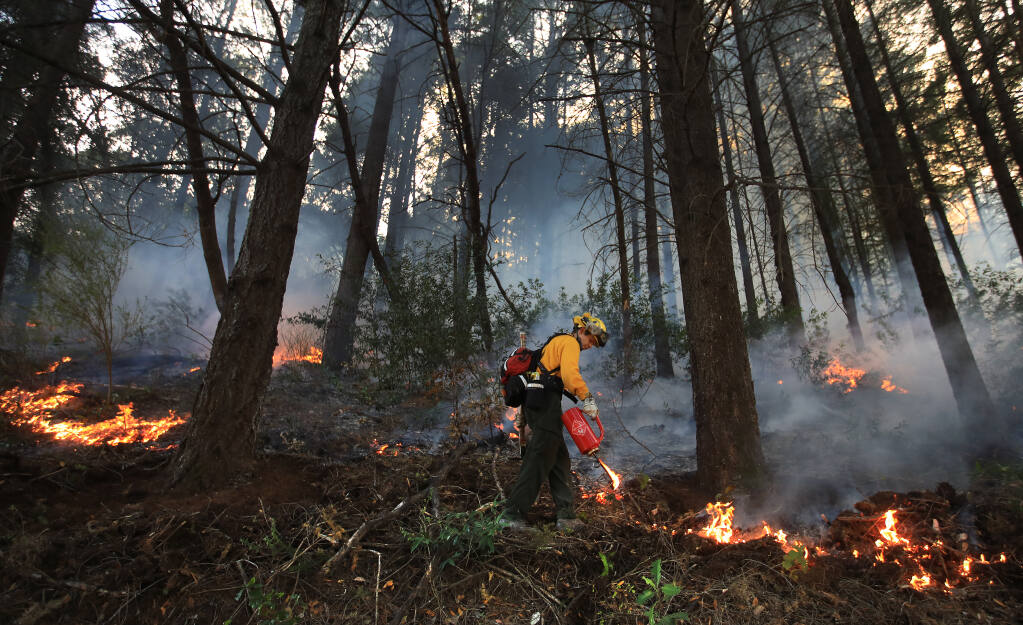 Prescribed fire is used to thin the forest floor in the hills above West Dry Creek Nov. 29, 2020. The Walbridge fire burned very close to the area of the prescribed fire.  (Kent Porter / The Press Democrat)