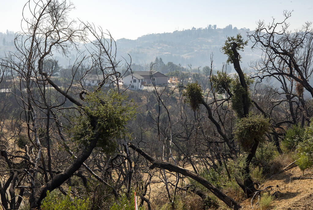 The view of the Mark West corridor looking southwest with Fountaingrove in the distance on Saturday, Sept. 4, 2020. Fire survivors hope county supervisors will use PG&E settlement funds to remove old dead trees and vegetation management.  (John Burgess/The Press Democrat)