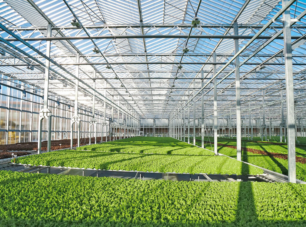 Example of the greenhouse operated by Gotham Greens which announced plans to open in Solano County (Photo courtesy of Gotham Greens)