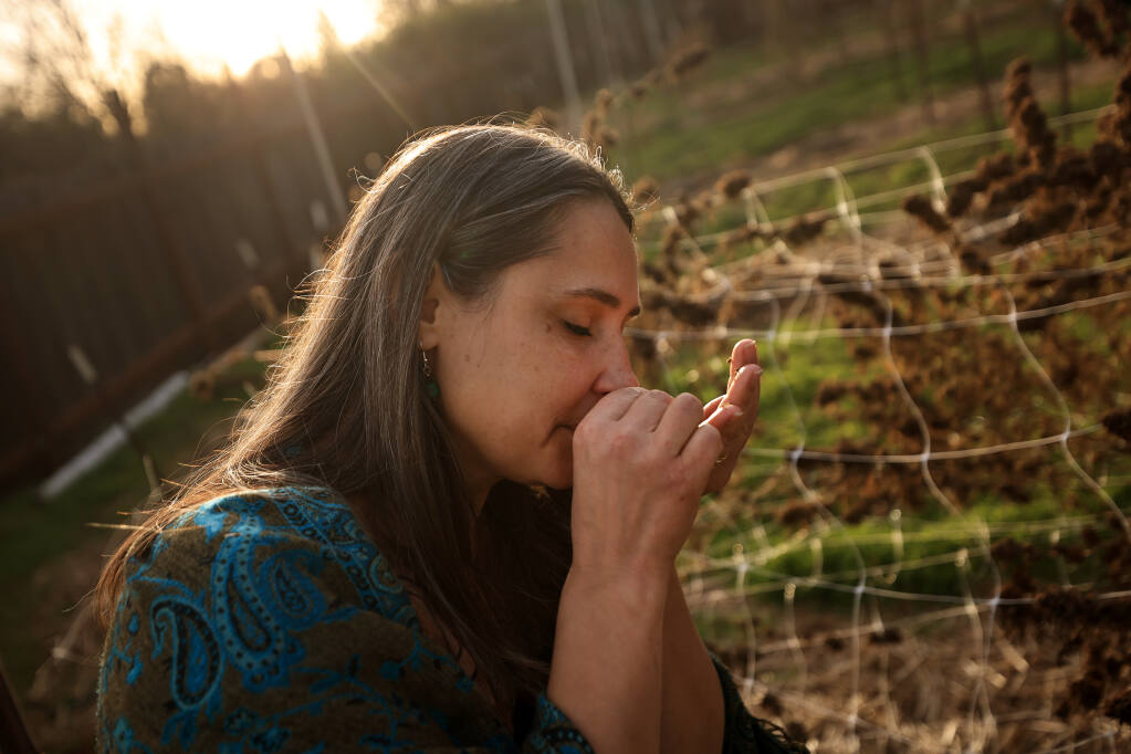 Patty Lanier breathes deep as she samples the smell of leftover buds of Hindu Cross with Chem Dog strains, at she and her husband Ray's cannabis grow near Middletown, Friday, Jan. 14, 2022. (Kent Porter / The Press Democrat) 2022