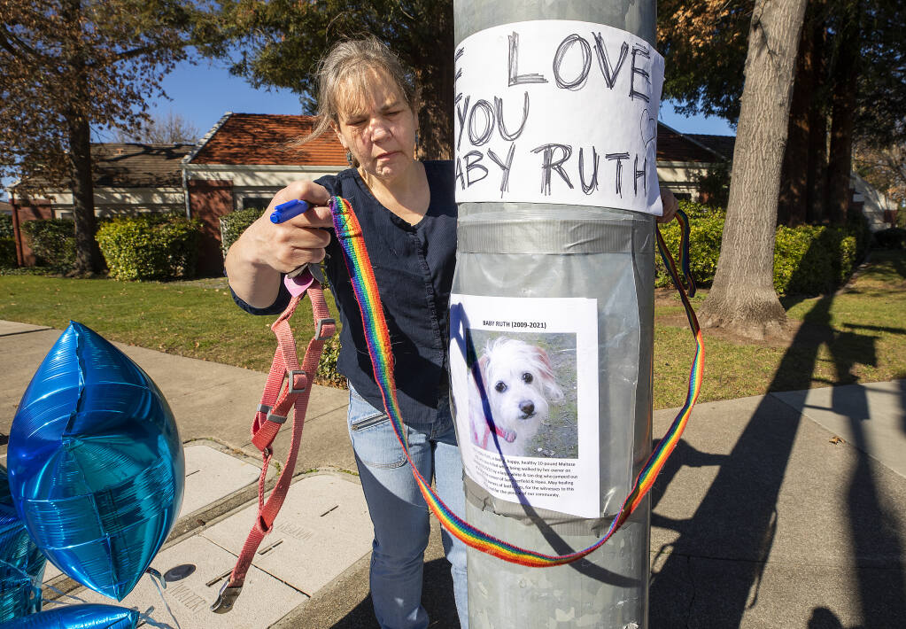 Susan Standen wraps her dog’s leash around a memorial to her dog, Baby Ruth, which was attacked and killed last Saturday by a large dog that jumped from a vehicle at the corner of Summerfield Road and Hoen Avenue in Santa Rosa. The offending dog's owner drove away. Standen said Animal Control officers, after tracking him down, said they could do nothing if he didn't admit it was his dog. (John Burgess / The Press Democrat)