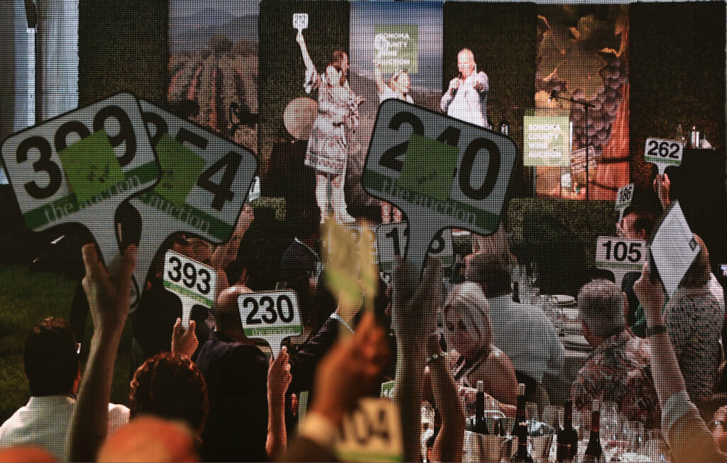 Broadcast on a large screen, bidders display their numbers during the Sonoma County Wine Auction at La Crema Estate in Saralee’s Vineyard in Windsor, Saturday, Sept. 16, 2023. (Kent Porter / The Press Democrat file)