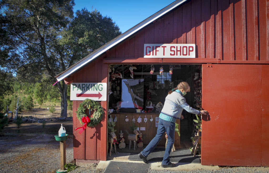 Lynn Schmitt opens the gift shop at Larsen’s Christmas Tree Farm in West Petaluma. (Crissy Pascual/Argus-Courier)