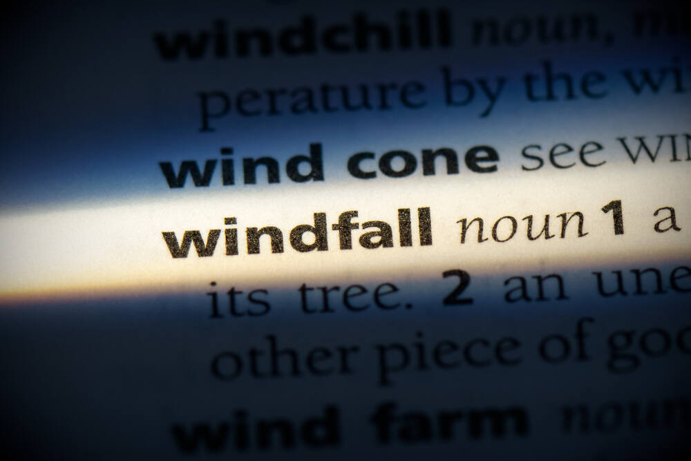 windfall word in a dictionary. windfall concept, definition.