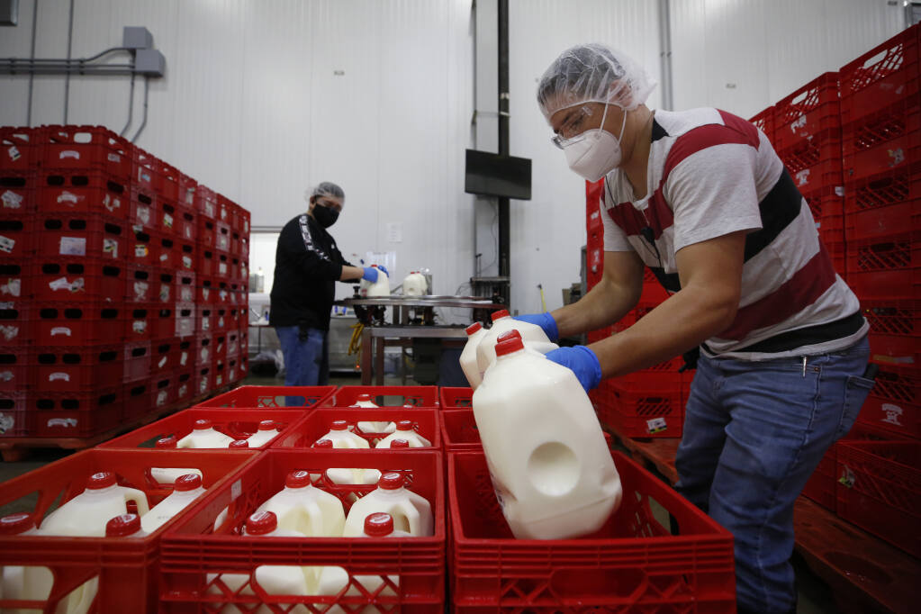 Gabino Molina, right, and Oscar Andrade work on the milk production line at Staus Family Creamery in Rohnert Park, Calif., on Thursday, June 3, 2021. (Beth Schlanker/The Press Democrat)