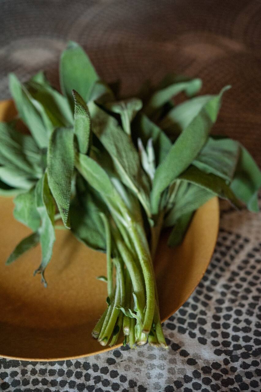 Sage is an herb that is associated with fall and Thanksgiving. (Gina Jones)