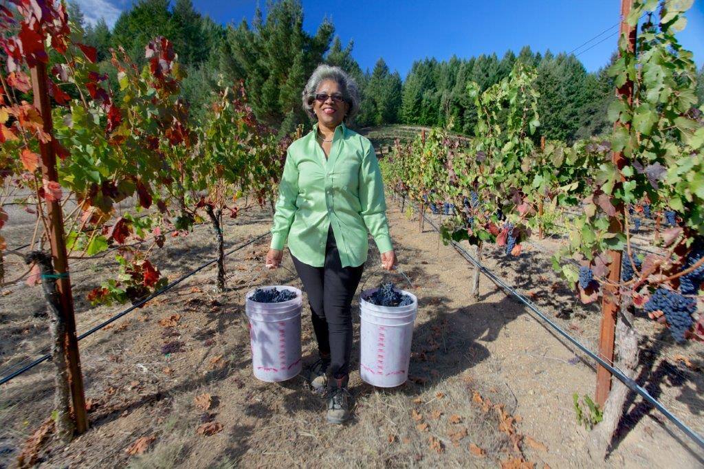 Trial attorney Theodora Lee owns Theopolis winery in Mendocino County.