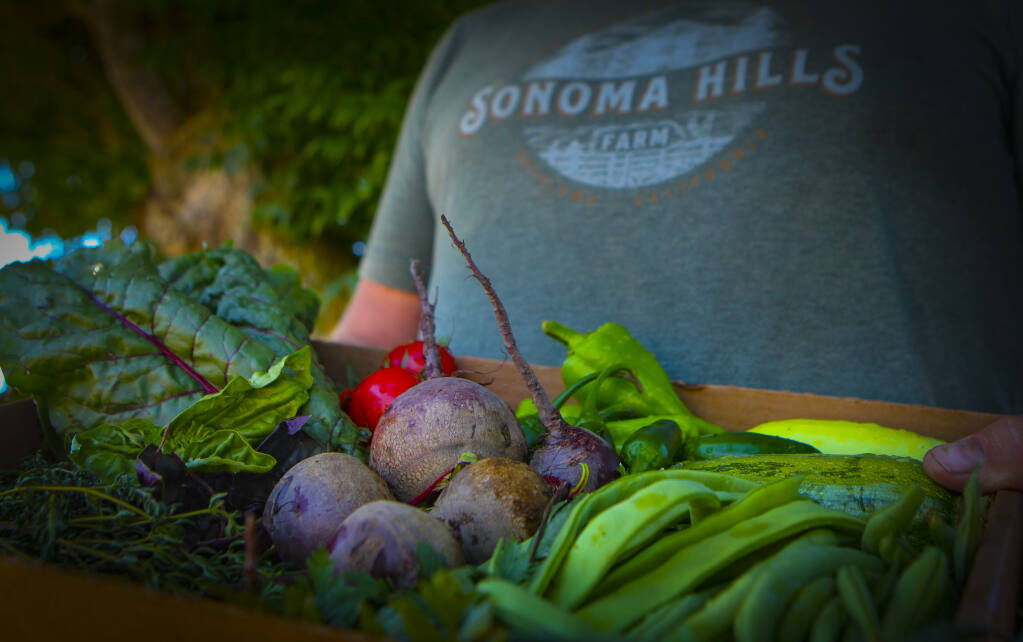 Sonoma Hills Farm, where organic vegetables, flowers and animals share the land with an active and legal marijuana grow. Farmer Aaron Keefer manages the farm. The former French Laundry chef left the famed Napa restaurant to run the farm. When the coronavirus pandemic caused many restaurants to close and suffer economic crisis, he began donating his farm-fresh produce to help his former fellow colleagues. (CRISSY PASCUAL/ARGUS-COURIER STAFF)