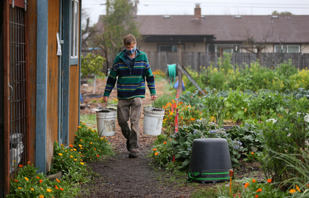 Martin Cibulka carries buckets of soil for potting young plants at the Harvest for the Hungry Garden in Santa Rosa on Friday, Feb. 19, 2021.  (Christopher Chung/ The Press Democrat)