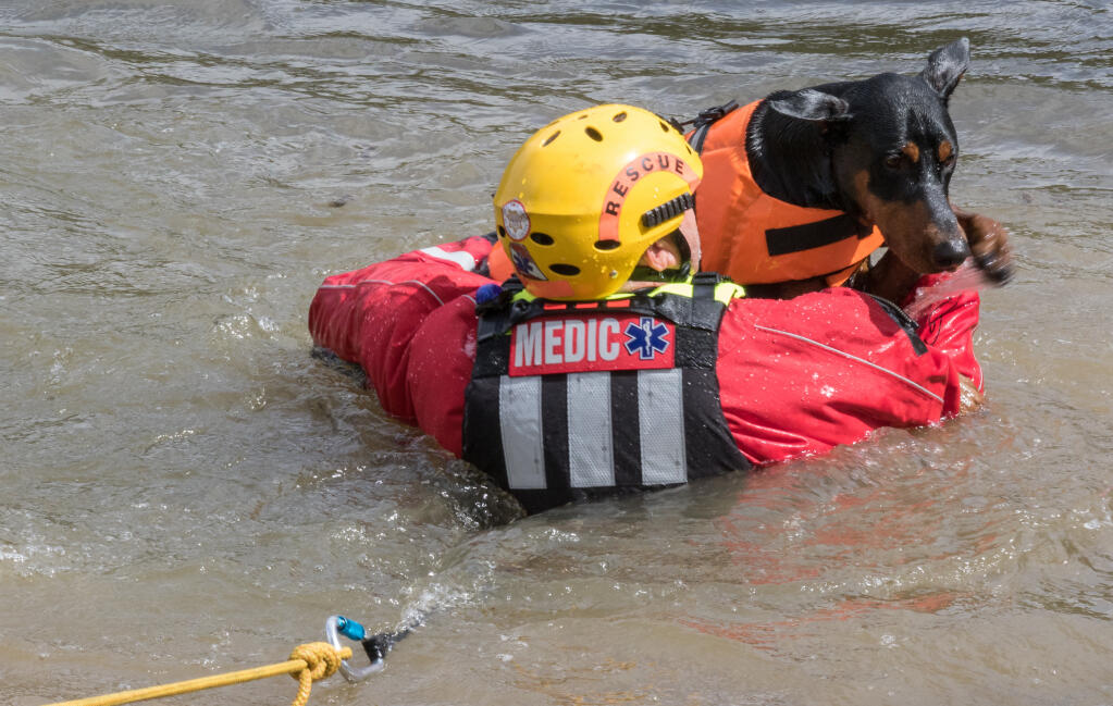 Local first responders receive hands-on training in large animal rescue at Atwood Branch in Glen Ellen on Saturday, April 10, 2021. Photos by Melania Mahoney.