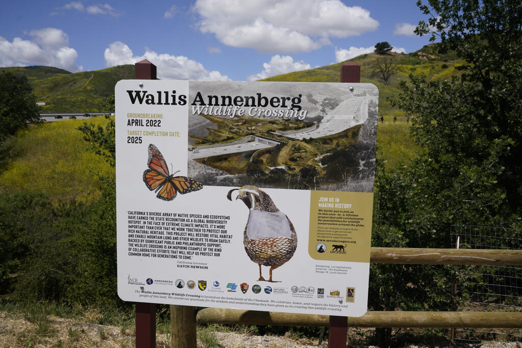 A sign shows an image of what the finished Wallis Annenberg Wildlife Crossing would look like during a ground breaking ceremony Friday, April 22, 2022, in Agoura Hills, Calif. Construction has begun on what's billed as the world's largest wildlife crossing for mountain lions and other animals caught in Southern California's urban sprawl. Officials held a ceremony Friday to mark the construction of a $90 million bridge over the 101 freeway and feeder road near downtown Los Angeles. (AP Photo/Marcio Jose Sanchez)