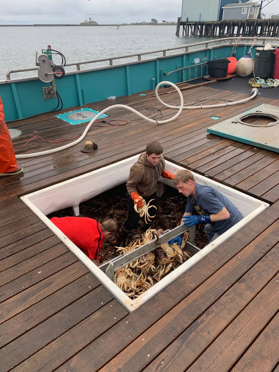 Crew members of the Miss Heidi work with crabs in the ship's hold. (Ben Platt photo)