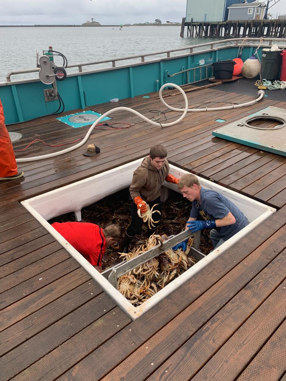 Crew members of the Miss Heidi work with crabs in the ship's hold. (Ben Platt photo)