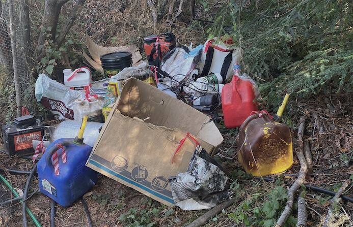 About 1,500 marijuana plants discovered on property within the Sonoma Coast State Park on Aug. 17, 2021. Officials also about 1,000 pounds of trash at the site. (California Department of Parks and Recreation)