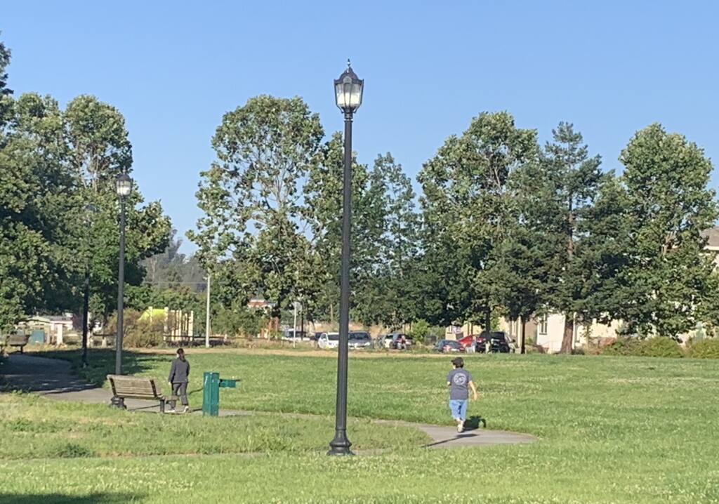 A BEAUTIFUL DAY IN THE NEIGHBORHOOD: Walkers, dog runners and parents with kids are among the early-rising inhabitants of Petaluma’s Turnbridge Park. (Photo by David Templeton).