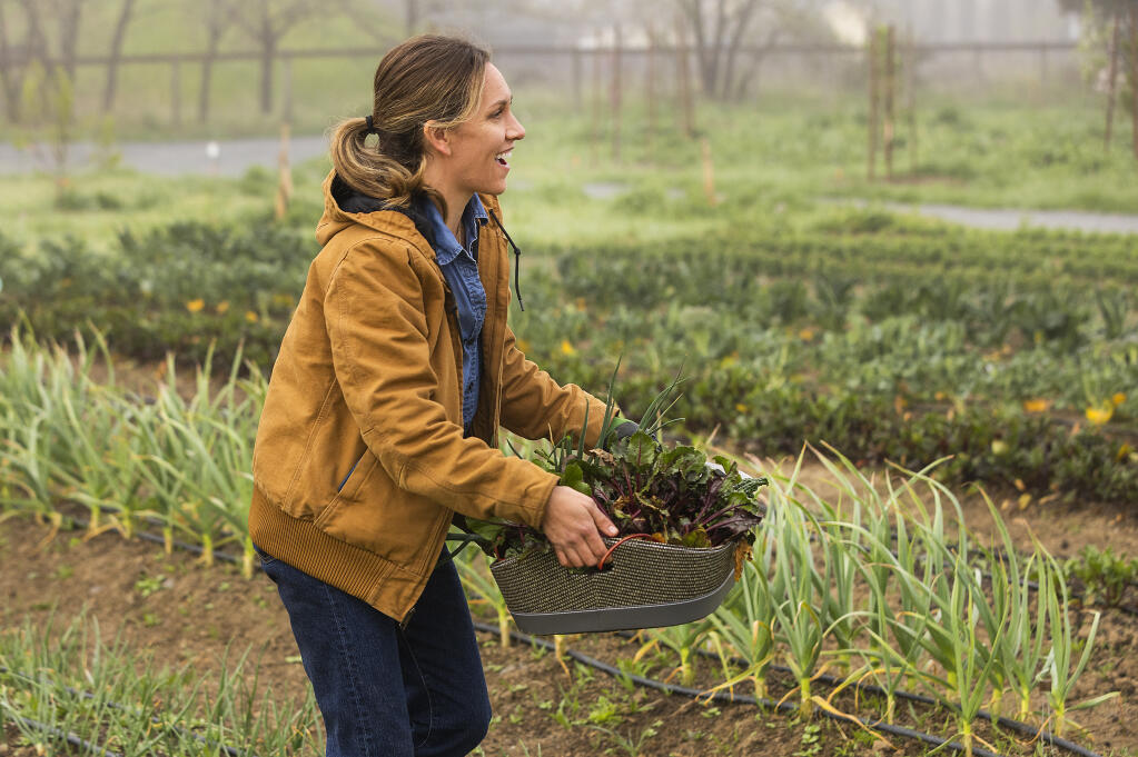 Shalie Jonkers grows onions at Noble Goat Orchard and Farm in Healdsburg. Onions are an easy starter crop for anyone wanting to get in to veggie gardening. (John Burgess/The Press Democrat)