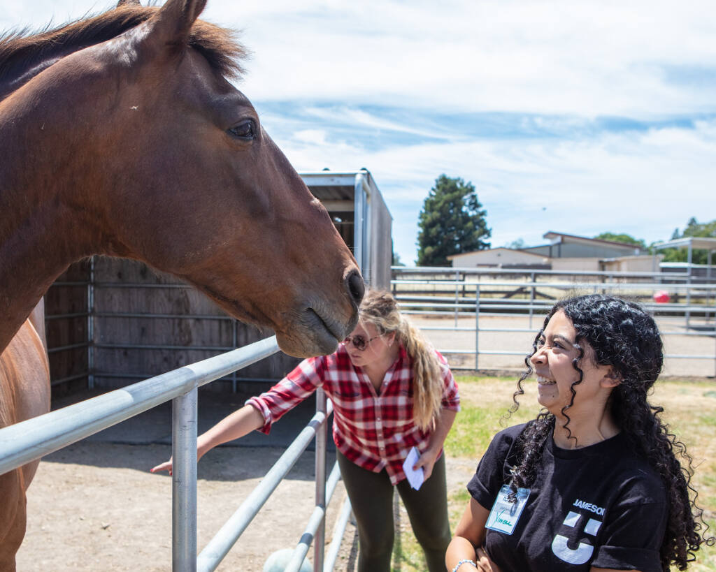Students get hands-on experience with horses at Jameson Humane Sanctuary. Spencer Asher photo.
