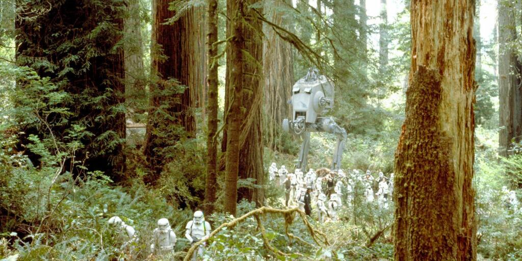 A scene from “Star Wars: Return of the Jedi,” filmed in the forests of Humboldt and Del Norte counties. (The Press Democrat file)