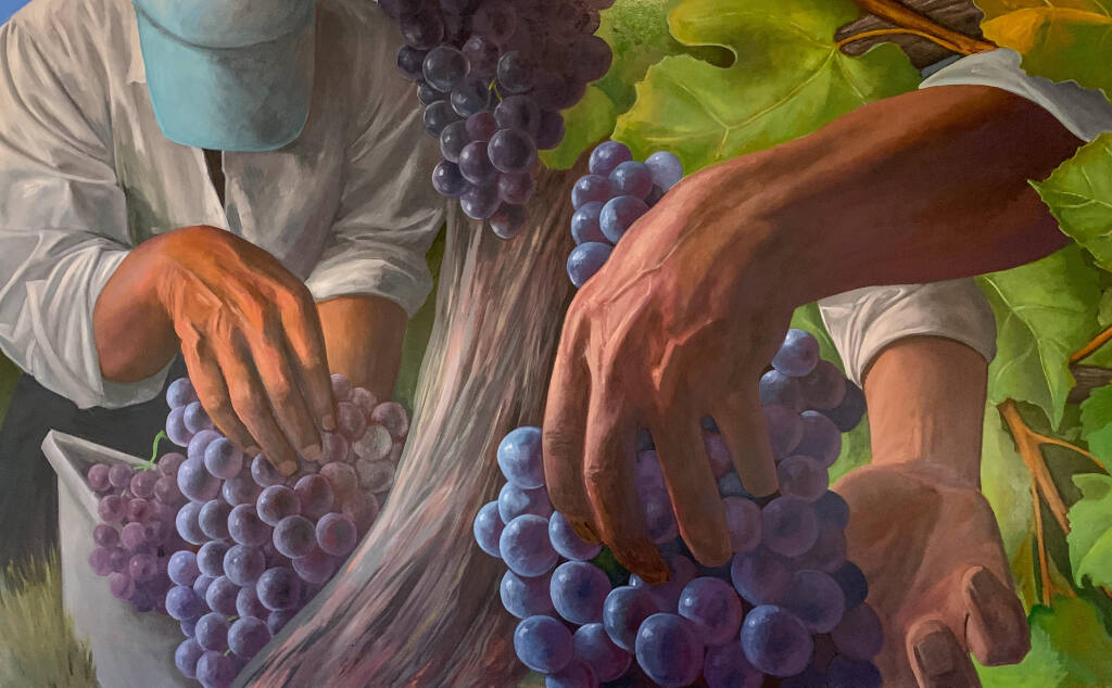 “Alexander Valley Grape Harvest,” 2022, oil on canvas, by Jay Mercado. (Jay Mercado)