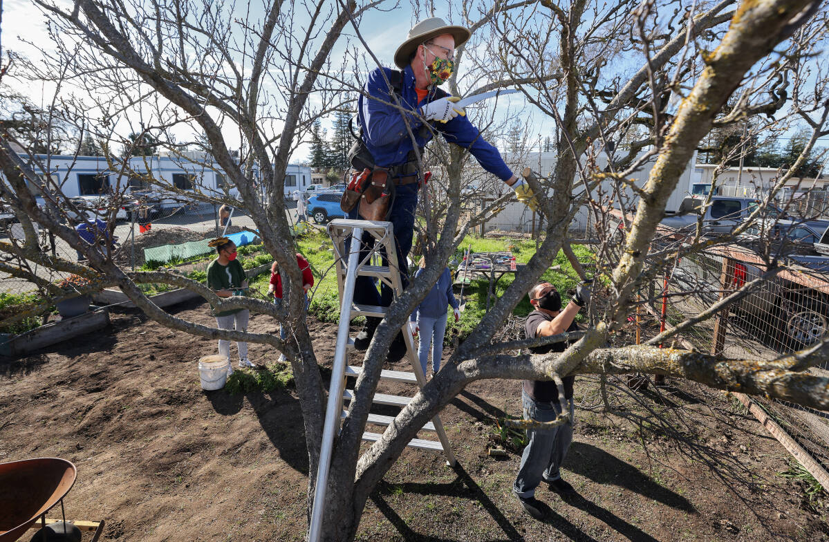 Santa Rosa youth grow career and life skills in neglected garden