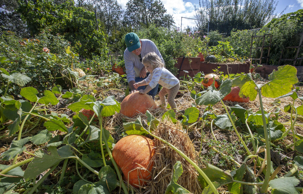 John Ryan shows his granddaughter Poppy Reagan-Ryan 2, how to thump a pumpkin at the Sonoma Garden Park on Monday, Sept. 19, 2022. The park is one of 10 properties proposed for historic preservation. (Robbi Pengelly/Index-Tribune)