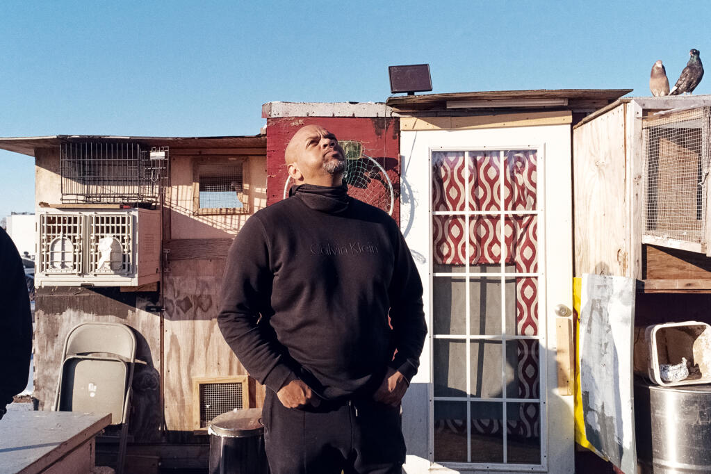 Dave Malone at his rooftop Brooklyn “clubhouse” watches over the pigeons he owns with Mike Tyson in Brooklyn on Jan. 18, 2021. As New York’s working-class neighborhoods shrink, so does the space for keeping pigeons. (OK McCausland/The New York Times)