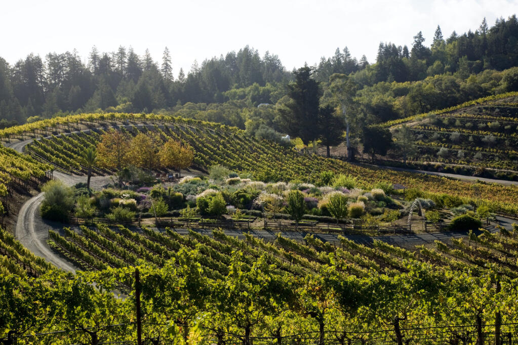 Take a one-hour guided hike at Benziger Family Winery in Glen Ellen to celebrate Earth Day and Sonoma County Wine Month. (Benziger Family Winery)