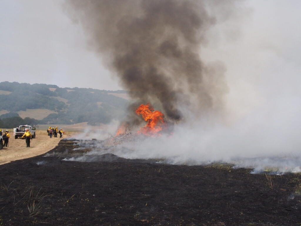 Smoke plumes rise at a 2020 prescribed burn at the Van Hoosear Wildflower Preserve. (Courtesy Sonoma Ecology Center)