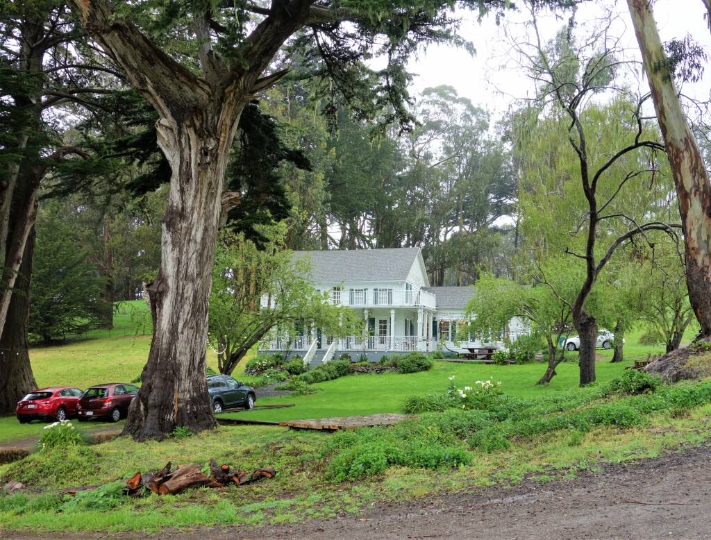 The verdant Straus Home Ranch in Marshall, Marin County. (Photo by Houston Porter)