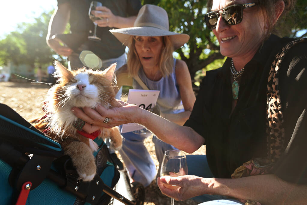 Megan Hall and Keri Howard, right, gave 8-year-old and blind Murdock the cat plenty of attention during the Humane Society of Sonoma County’s annual gala, Wags, Whiskers & Wine, held at Kendall-Jackson Wine Estate & Gardens in Santa Rosa, Calif., on Friday, August 5, 2022.(Erik Castro / For The Press Democrat)