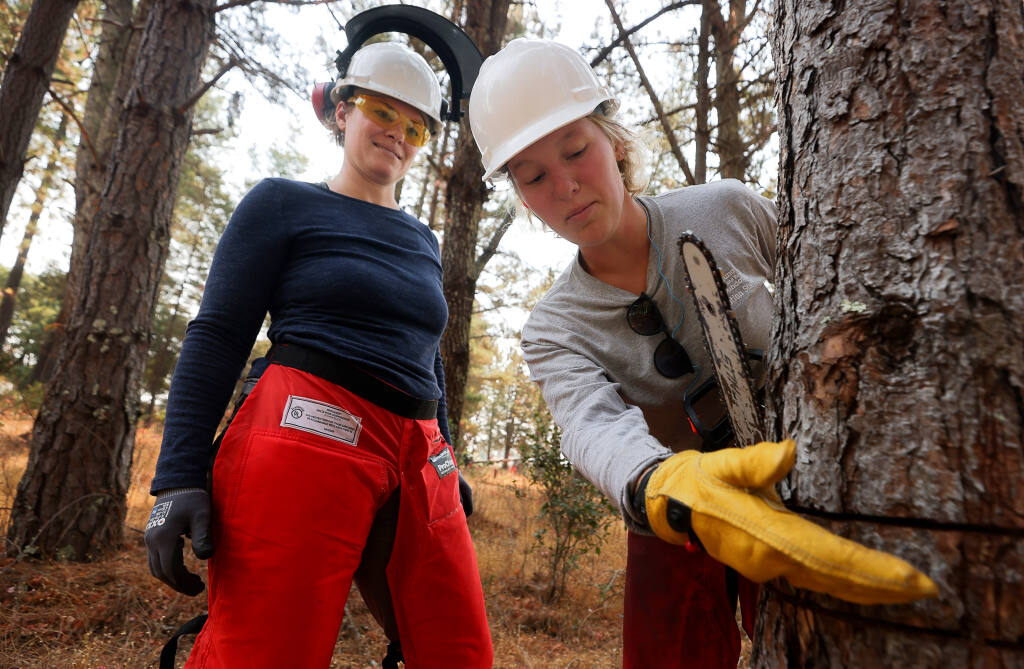 Annie Madden, restoration field supervisor at the Laguna de Santa Rosa, describes how to make the next cut to fell a tree to Wildfire Resiliency program student intern Amy Connor, left, at Shone Farm, near Forestville, on Friday, August 27, 2021.    (Christopher Chung/ The Press Democrat)